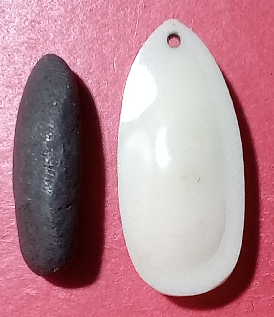 20241105_105029.jpg