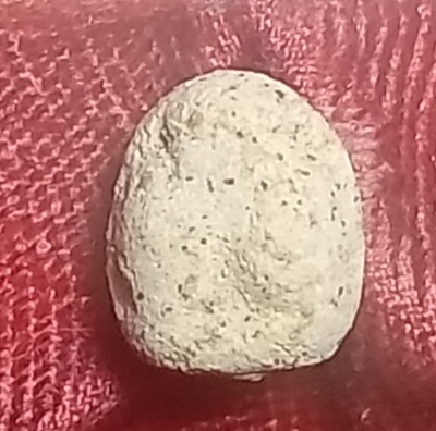 20250716_102252.jpg