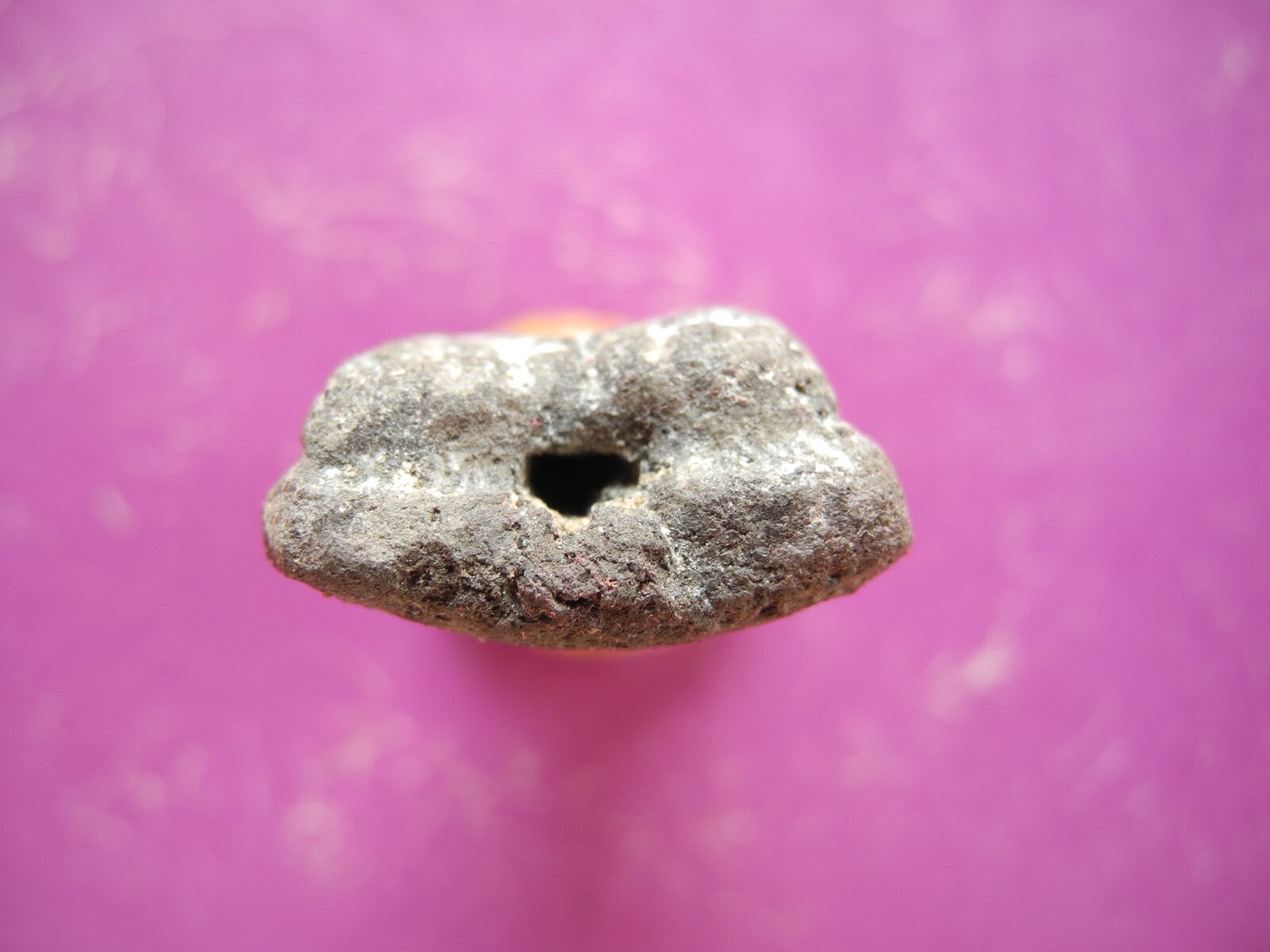 dscn0090-jpg.jpg